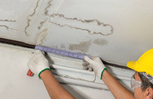 Reliable Water Damage contractor in Lacarne, OH by Water Damage Irwin